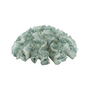 Decorative Polyresin 20cm Colt Sea Coral Home Decor - Green