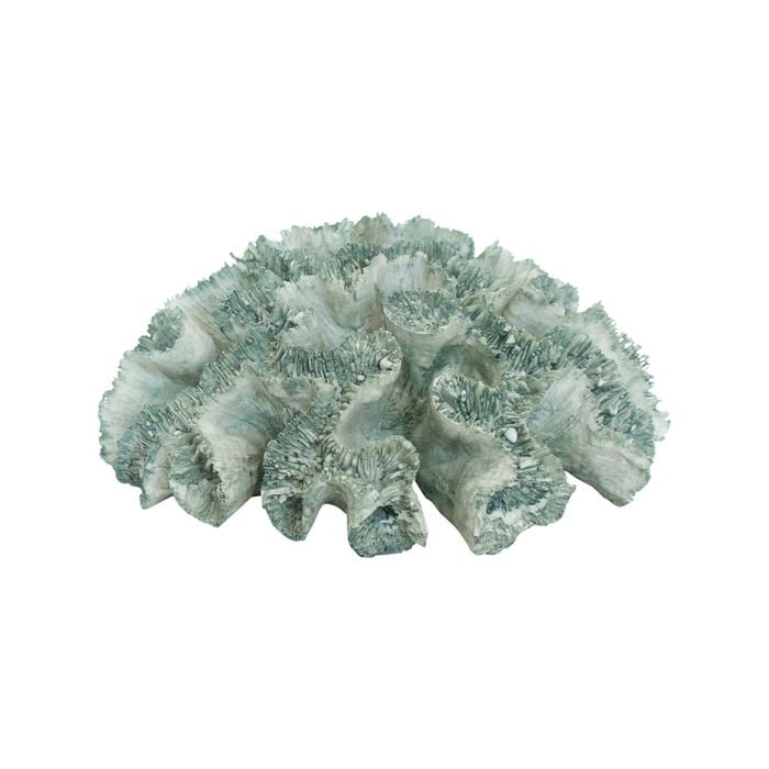 Decorative Polyresin 20cm Colt Sea Coral Home Decor - Green