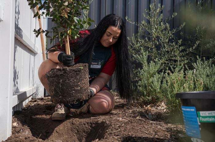 A woman planting a tree.