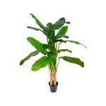UN-REAL 180cm Banana Tree Artificial Plant