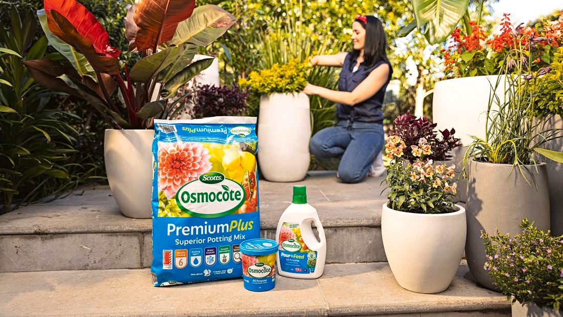 Woman potting plant in pot in garden in background and Osmocote products displayed in front. 
