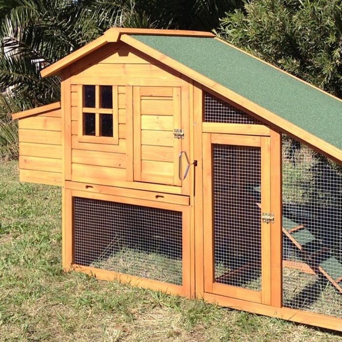 Deluxe Chicken Coop With Run