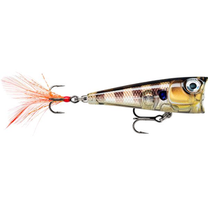 Rapala XLight Finesse Pop 4cm Hard Body Topwater Fishing Lure Glassy Gill UV
