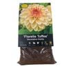 Yarra Valley Bulbs Dahlia Florelie Toffee - 1 Pack