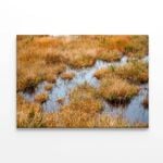 Waterlogged Grassland in summer  Print 100% Australian Made 75 x 50cm  (Stretched)