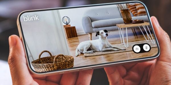 Mobile phone screen of a dog.