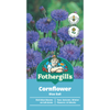 Fothergill's Cornflower Blue Ball Flower Seeds