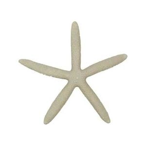 Resin 13cm Starfish Sculpture Figurine Display Decor - Cream