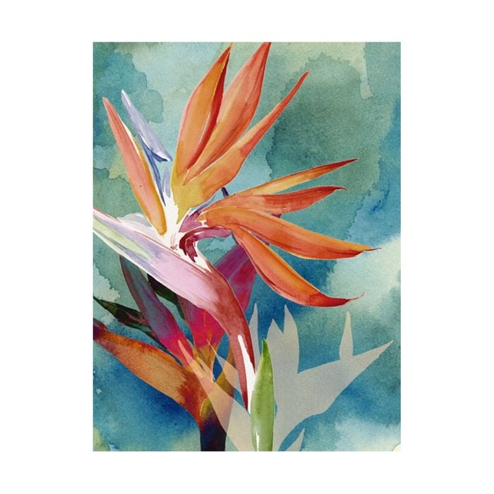 Artey | Vivid Birds of Paradise II - Stretched Canvas - Stretched Canvas - 120 x 160cm