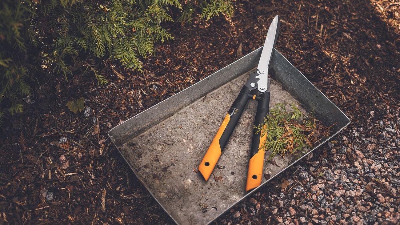 Fiskars hedge shears lay in a metal tray on a garden bed
