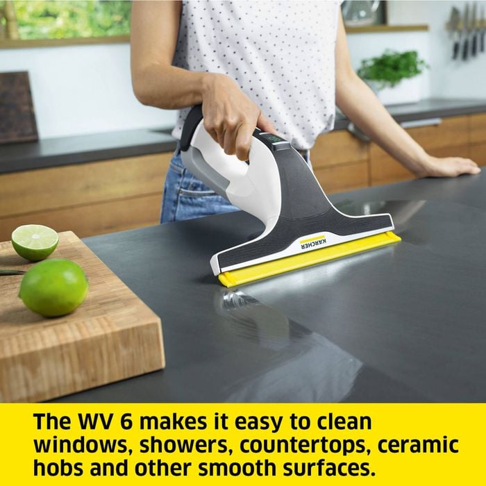 Karcher WV 6 Plus Window Vac