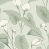 Grandeco 53cm x 10.05m Green Calla Lily Wallpaper