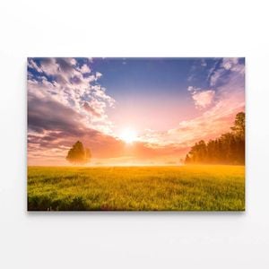 Sunrise in Forest with Meadows  Print 100% Australian Made 150 x 100cm  (Stretched)