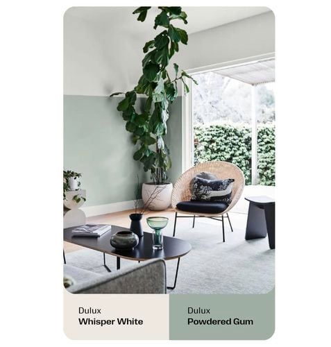 Living space with a large plant in pot and white and light green walls,