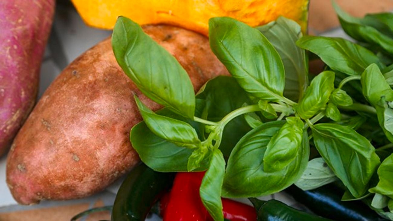 Sweet potatoes, pumpkin, basil and chilli.
