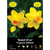 Yarra Valley Bulbs Daffodil Soleil D'or - 25 Pack