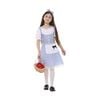 More Than Party Childrens Storybook Dorothy Kids Costume X Large 140x62cm