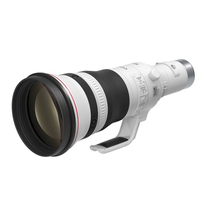 Canon RF 800mm f/5.6 L IS USM Lens