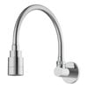 Shaw & Mason Chrome Flexible Wall Spout Vege Spray