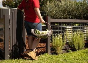 A person wearing a red T-shirt with "Warehouse Saving" written on it is holding a basket filled with cauliflower