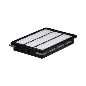 WIX Air Filter WA9834 Interchangeable with A1918, WA5422