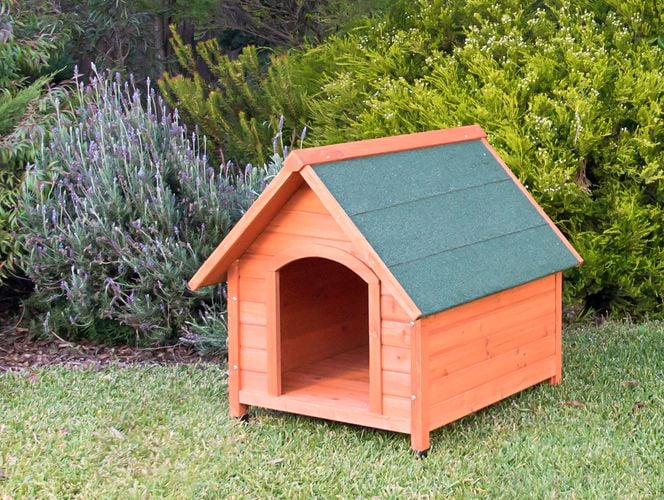 The Pinnacle 'Fort' dog kennel.