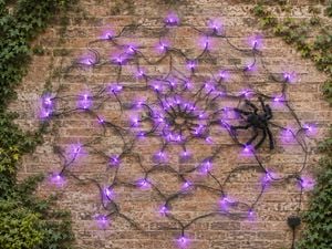 Product.Light-Up Spider Web .1054150.AU.productOtherMedia.3