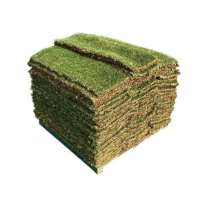 TifTuf Bermuda Couch - 40m2 Pallet Turf