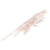 Magbite Snatch Bite Shrimp 2.5" Soft Plastic Fishing Lure 05 Clear Holo Shrimp