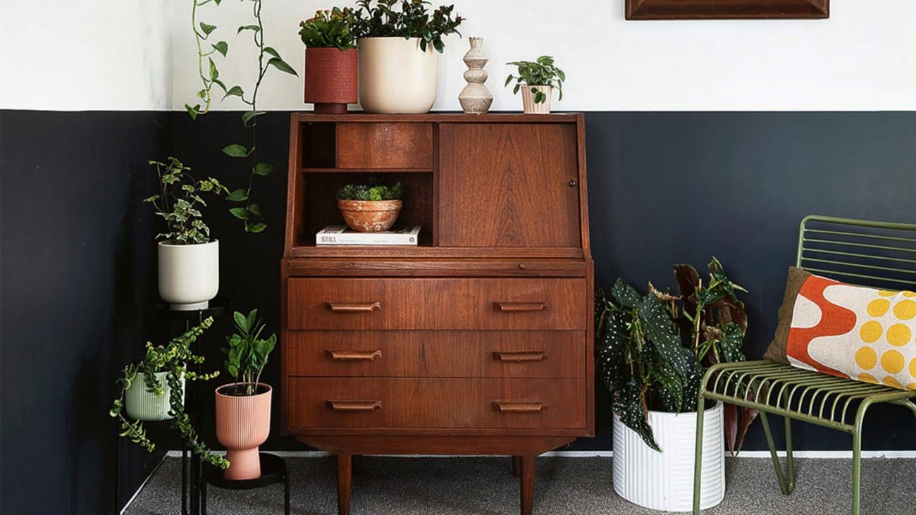 White, dusty and mint clay pots holding green plants sit next to a wooden desk with drawers. Atop the desk sit an arrangement of plants in white and brown pots. A large plant sits on the floor in a white pot on the other side of the desk