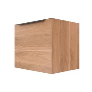 Stein 600 x 450 x 500mm Light Select Wall Hung Black Integrated Handle Vanity - Cabinet Only
