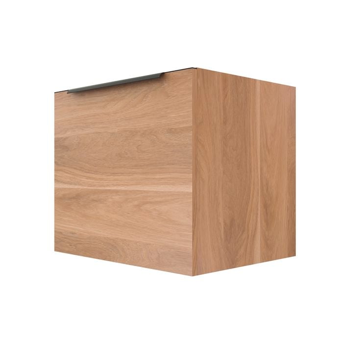 Stein 600 x 450 x 500mm Light Select Wall Hung Black Integrated Handle Vanity - Cabinet Only 