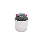 95mm Cactus Decorative Pot