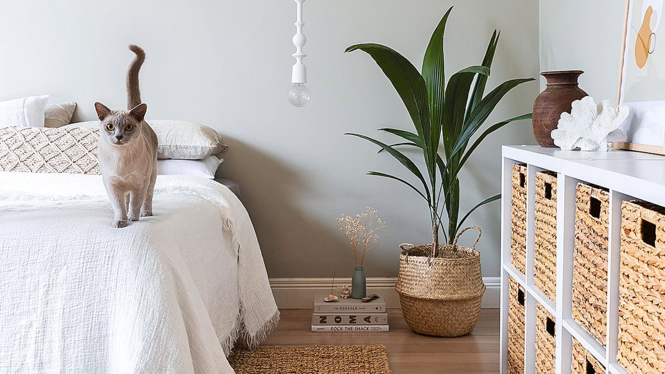 Bedroom with woven rug and clever cube storage with cat on bed, hanging pendant and potted plant