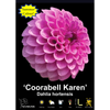 Yarra Valley Bulbs Coorabell Karen - 1 Pack