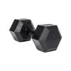 Sumo Strength Hex Dumbbell Panther Series - 10kg (single)