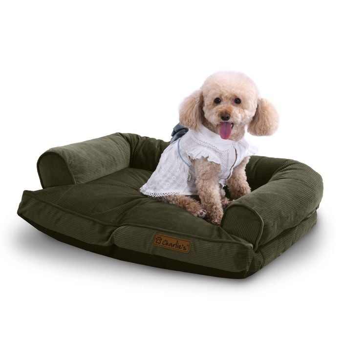 Charlie's Corduroy Dog Sofa Bed Green - Medium