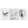 3pcs Art Deco Lion Portrait Orientation Print 100% Australian Made 3 x 40x60cm (Metal Print)