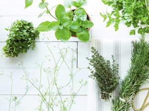 Mixed herbs on a table, including basil and coriander.