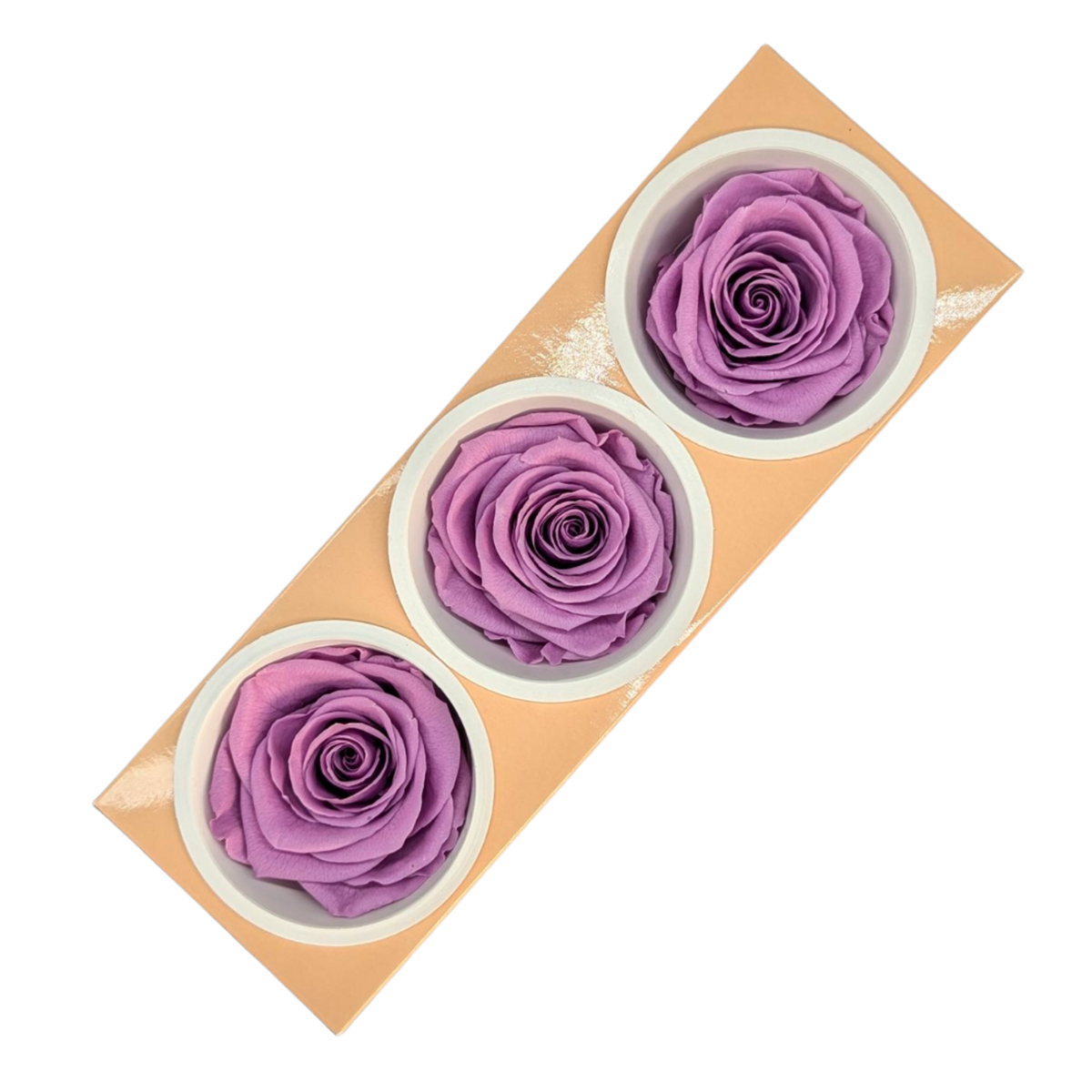 Blooms of Joy 6cm Lilac Preserved Rose 3 Pack - Bunnings Australia