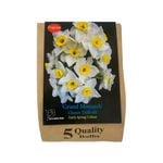 Yarra Valley Bulbs Daffodil Grand Monarch - 5 Pack