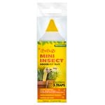 The Buzz Mini Insect Indoor Pot Traps - 5 Pack
