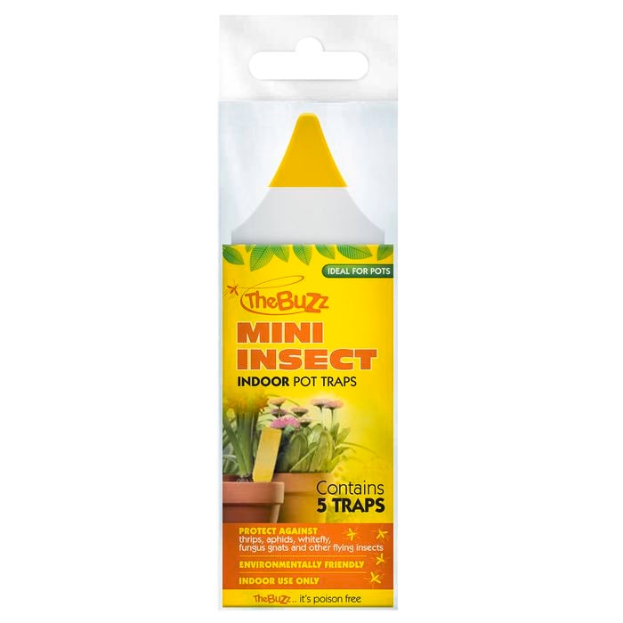 The Buzz Mini Insect Indoor Pot Traps - 5 Pack