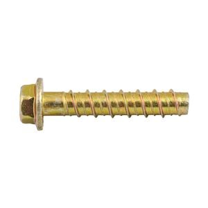 Ramset 10 x 60mm Zinc AnkaScrew Masonry Anchor