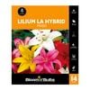 Bloomin' Bulbs Lilium La Hybrid Mixed - 14 Pack