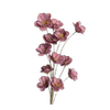 Blooms Of Joy 30cm Pink Sola Anemone Flowers