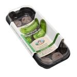 Mr Fothergill's Cucumber Lebanese Windowsill Greenhouse Kit