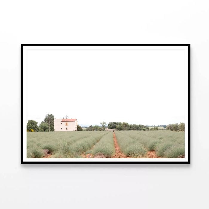 House Located with Grass  Print 100% Australian Made 90x60cm  (Poster)