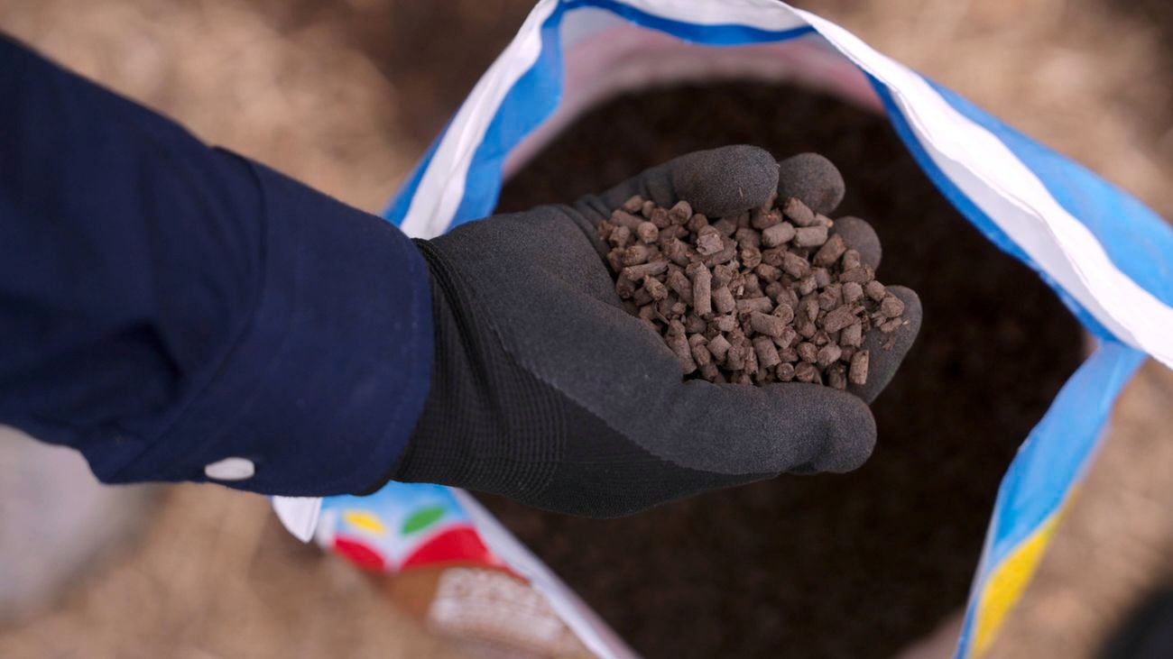 An open bag of Yates Dynamic Lifter plant food, with a person’s hand inside holding the pellets
