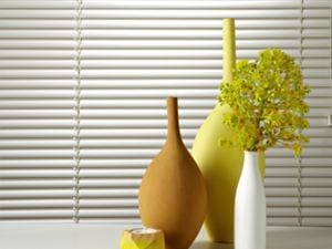 Venetian blinds in a living room.